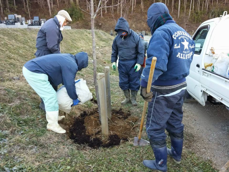宮城県石巻市 大川地区(被災地を再びサクラ色に)_d0259876_181551.jpg