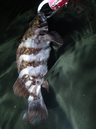c0197578_9381265.jpg
