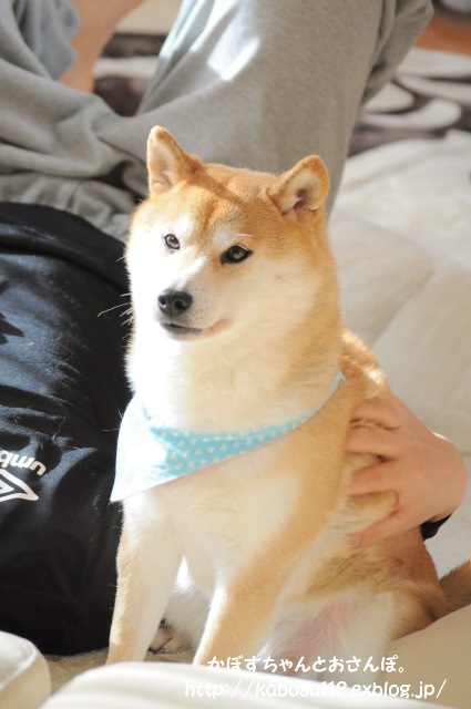 母娘喧嘩_a0126590_00385148.jpg