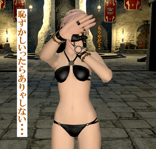 b0296791_19351982.png