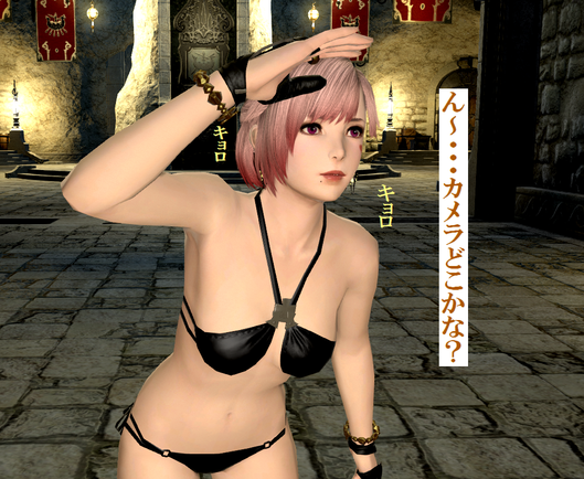 b0296791_1940227.png