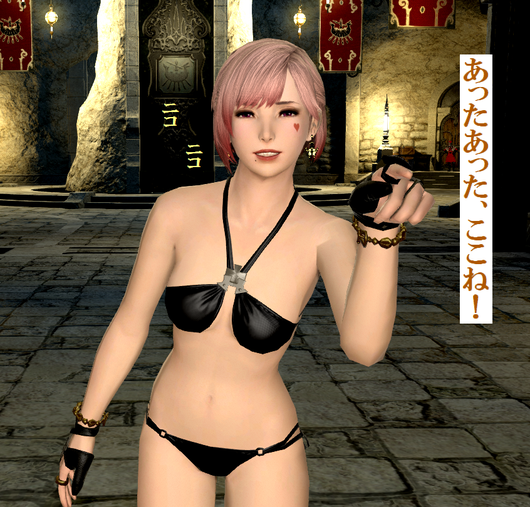b0296791_1940847.png