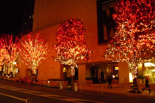 a0326295_2224840.jpg