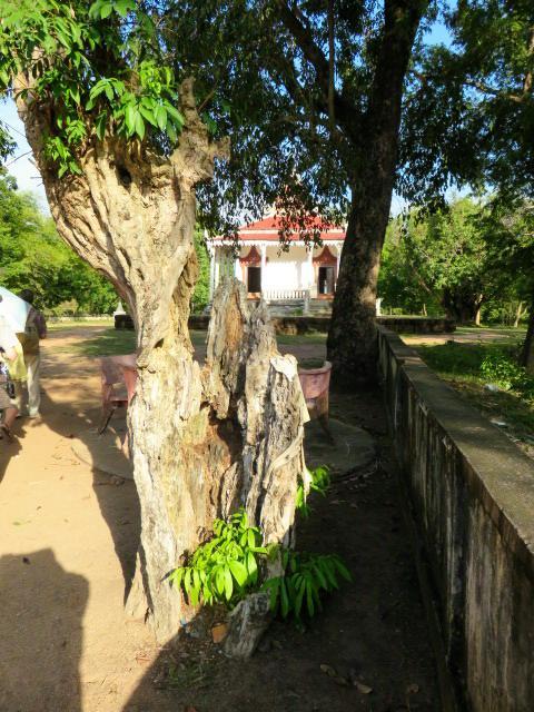 f0346196_11185366.jpg