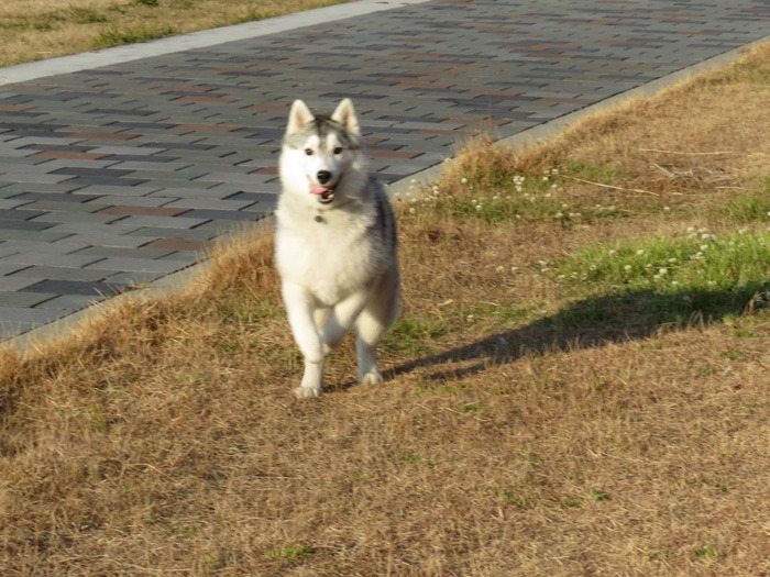 c0049299_22292465.jpg