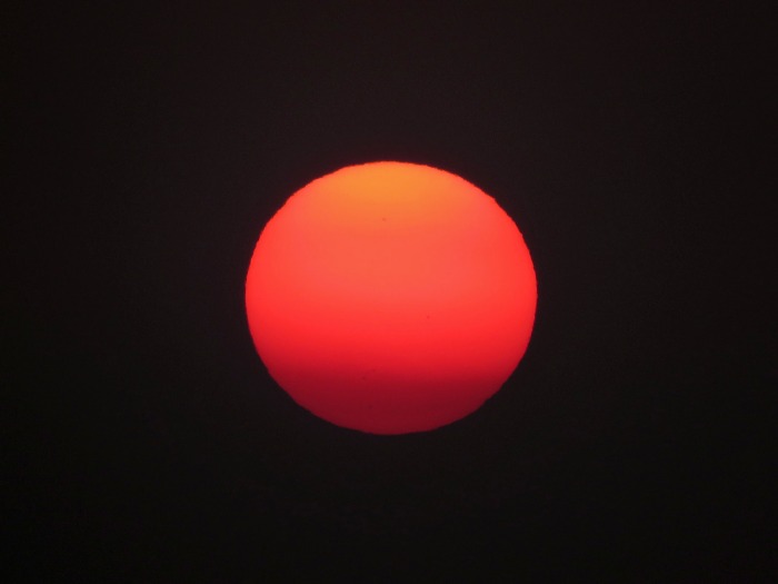 c0049299_2231184.jpg