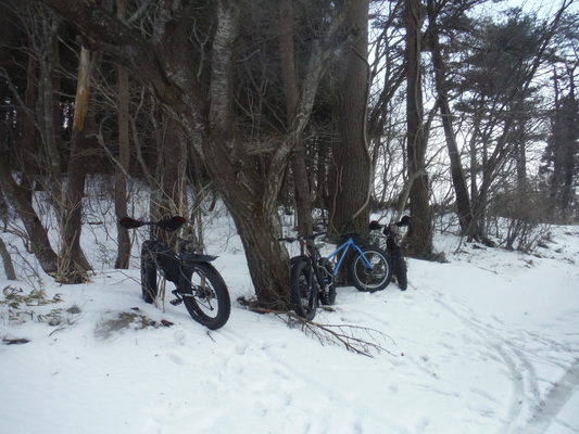 ファットバイクで雪遊び 2014年12月_c0132901_9203435.jpg