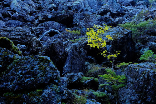 2014年山の風景・ベスト_e0304001_21101665.jpg