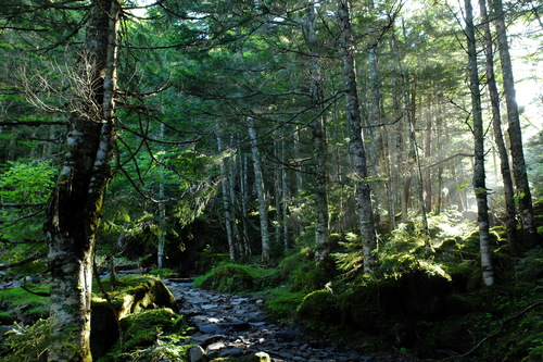 2014年山の風景・ベスト_e0304001_216183.jpg