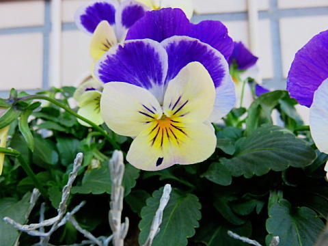 d0046702_150361.jpg