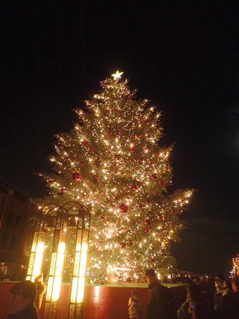 f0043911_1584877.jpg