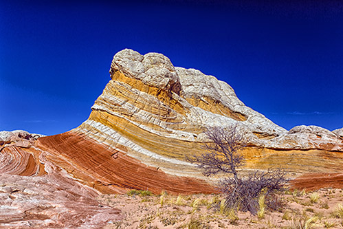 c0148812_10513325.jpg