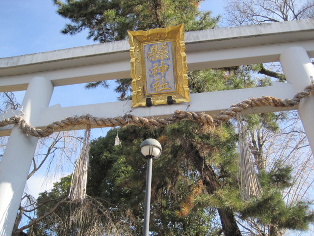 縣神社　⑳_a0216818_13423514.jpg