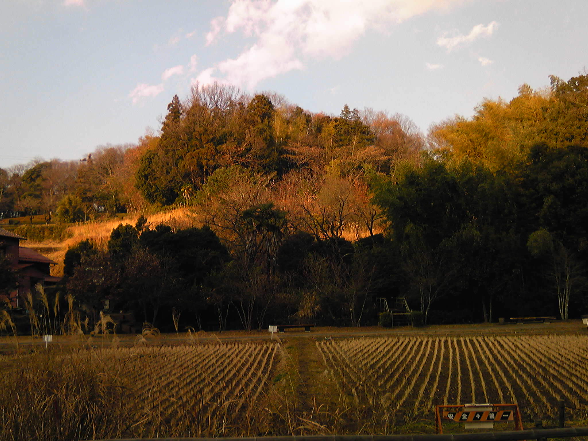 b0285619_10364750.jpg
