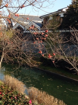 京都旅行②_d0204120_19471072.jpg