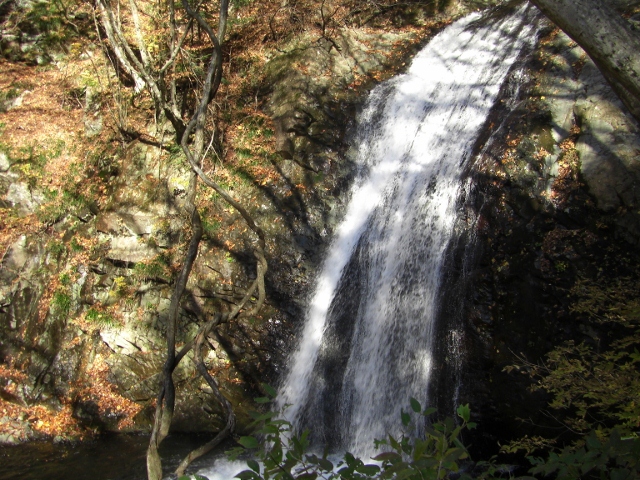 c0074721_1340352.jpg