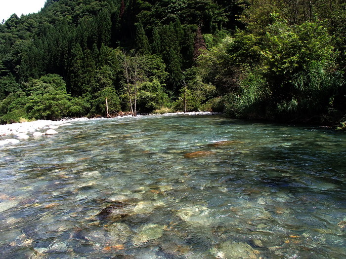 d0172227_15515440.jpg