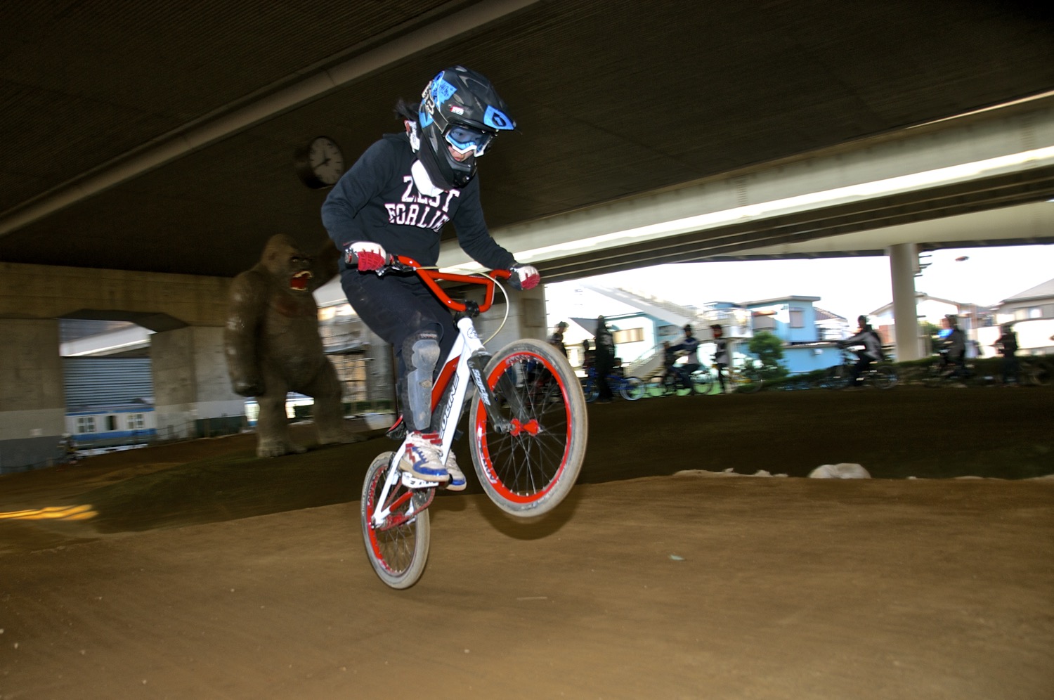２０１４年度ゴリラ大納会：ゴリラ公園走り納〜キングオブゴリラスタイルコンテスト_b0065730_2147394.jpg