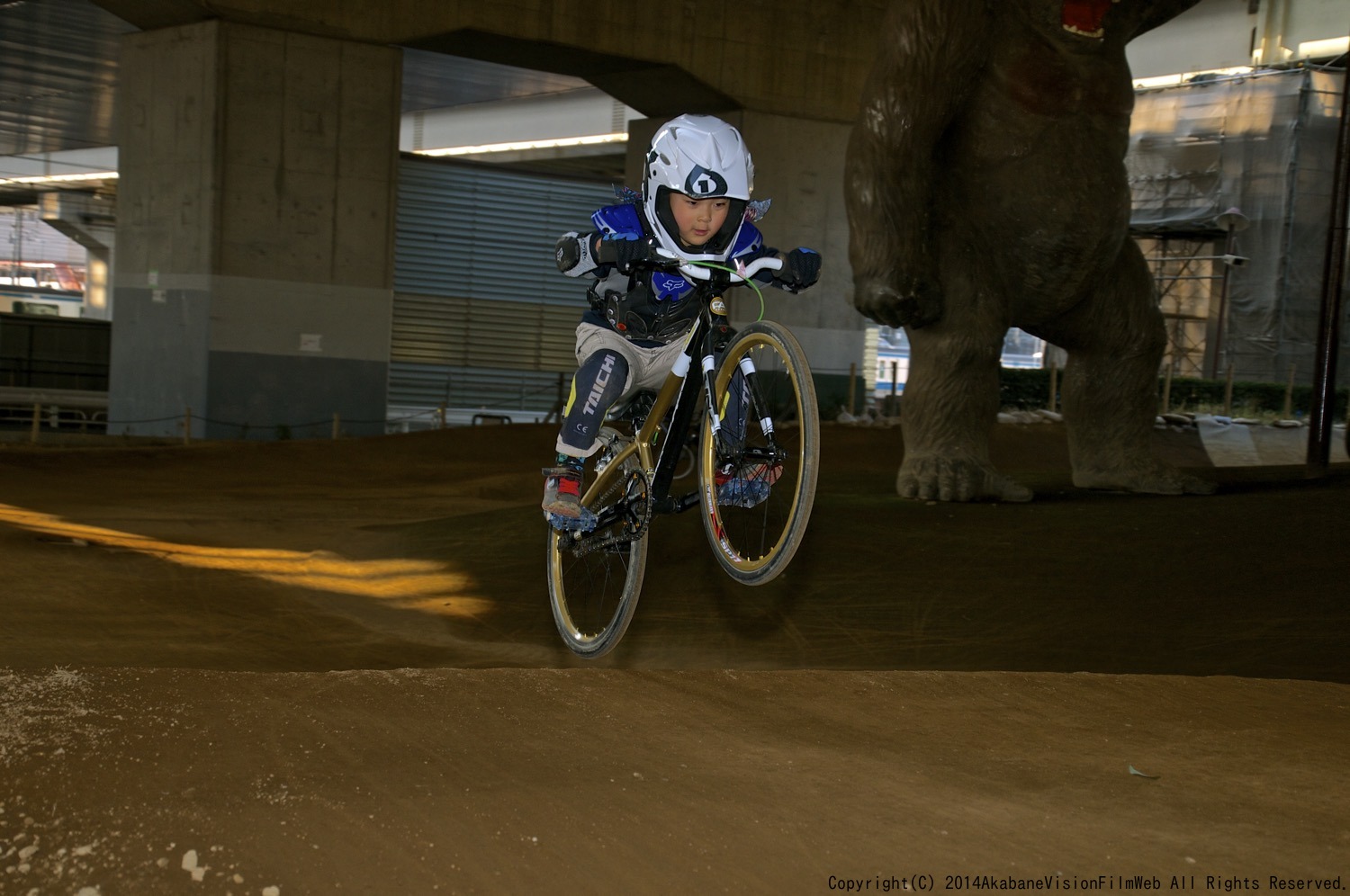 ２０１４年度ゴリラ大納会：ゴリラ公園走り納〜キングオブゴリラスタイルコンテスト_b0065730_2156309.jpg