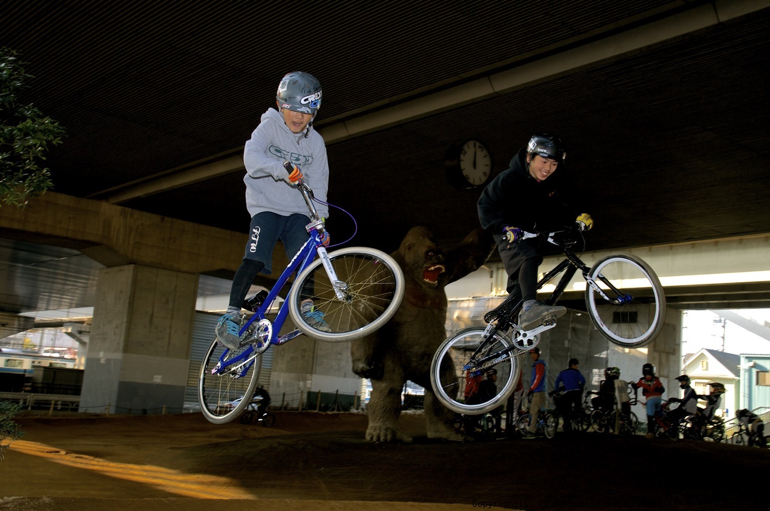 ２０１４年度ゴリラ大納会：ゴリラ公園走り納〜キングオブゴリラスタイルコンテスト_b0065730_2159479.jpg