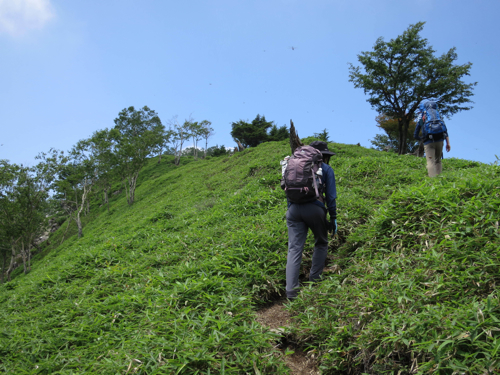 2014年　山行記録④　(7月26日　社山)_f0060535_2359893.jpg