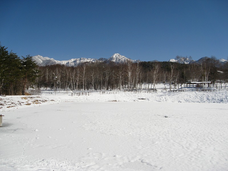 今年もありがとうございました　2014_c0090236_16522818.jpg