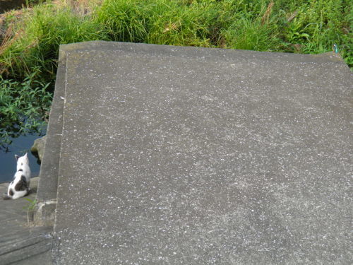 c0338136_00384668.jpg