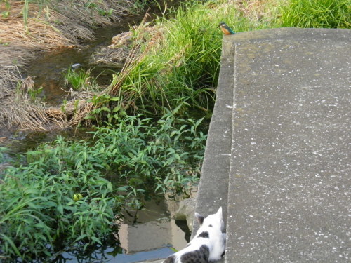 c0338136_00392371.jpg
