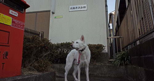 a0117039_20131372.jpg