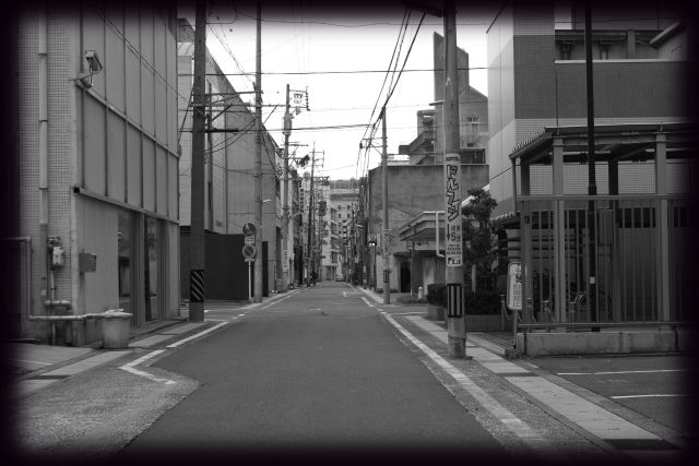 2014年_f0180552_1646862.jpg