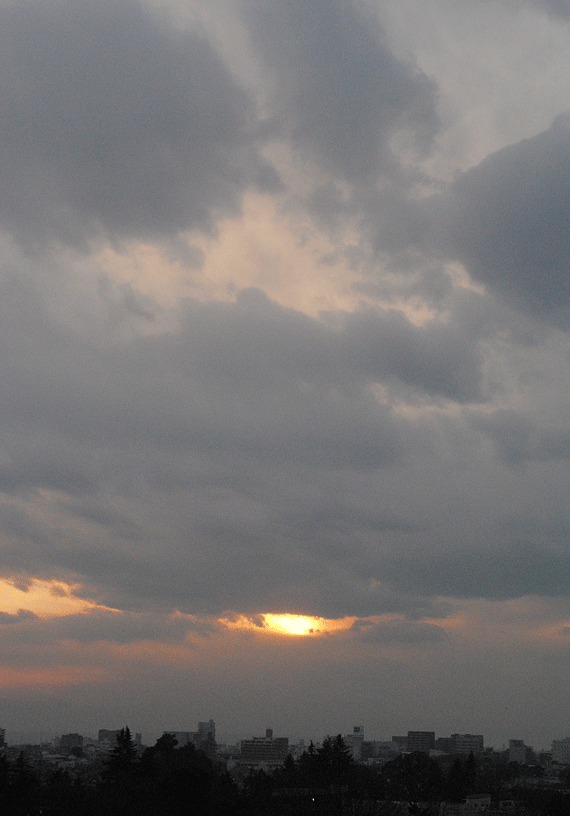 12月31日 大晦日_a0001354_18285874.gif