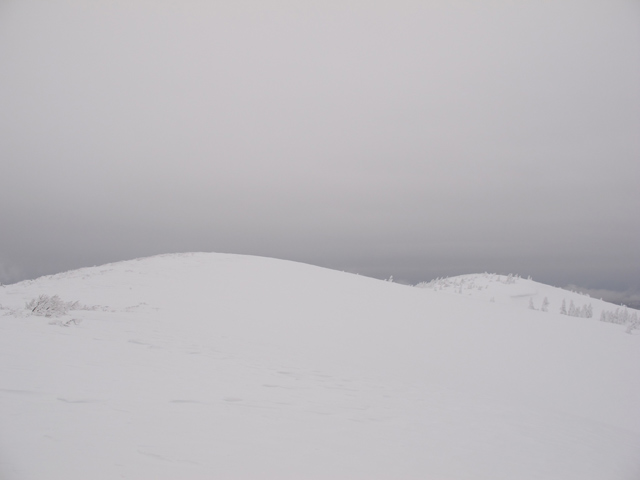 c0116856_8817.jpg