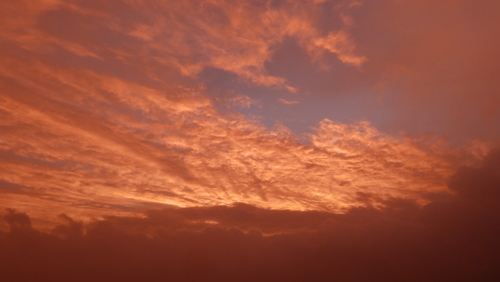b0160957_921112.jpg