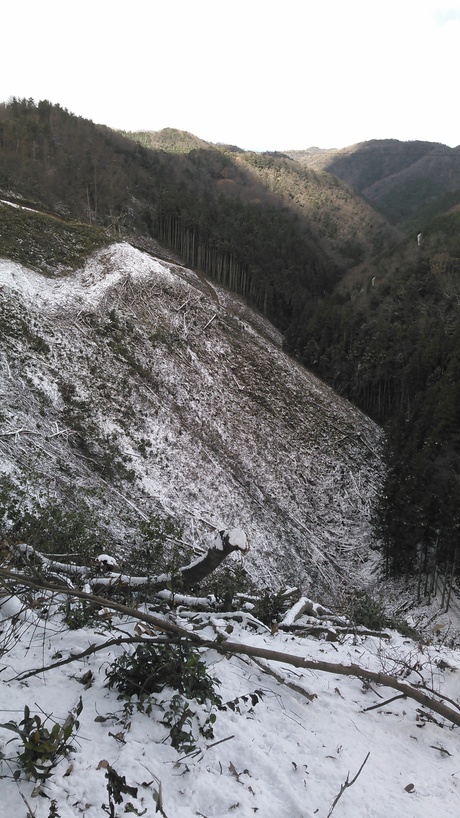c0016259_15245054.jpg