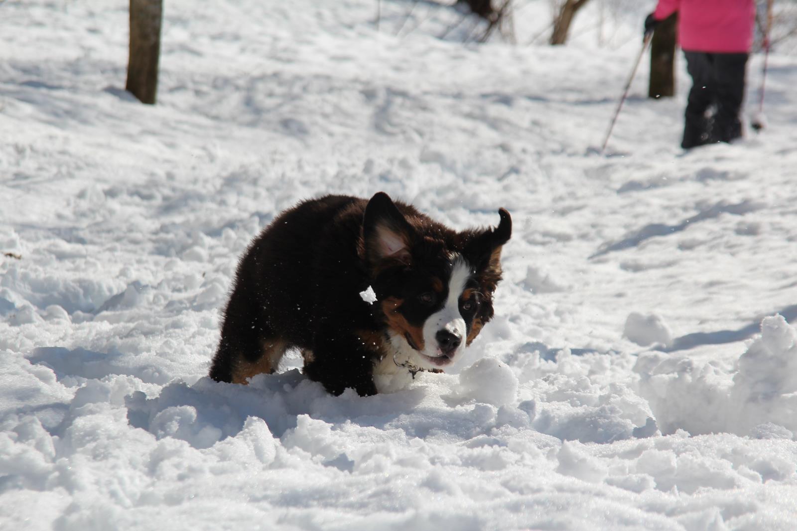 雪遊び　その２　ひなたスペシャル_f0297764_1636864.jpg