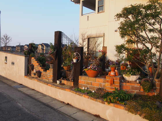 b0194267_2010120.jpg