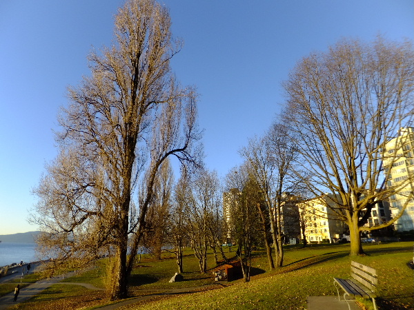 e0170687_15334150.jpg