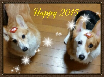 A happy new year2015_f0073805_13213.jpg