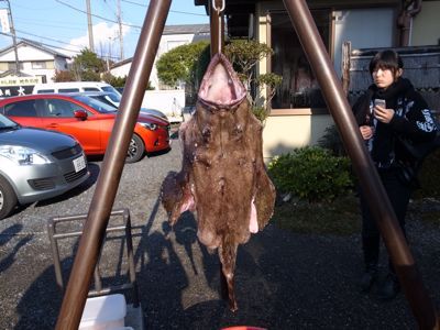 がまあんこう紀行_d0147406_045611.jpg