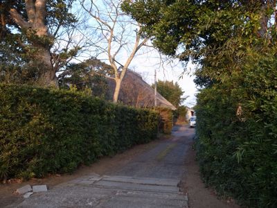 がまあんこう紀行_d0147406_05448.jpg