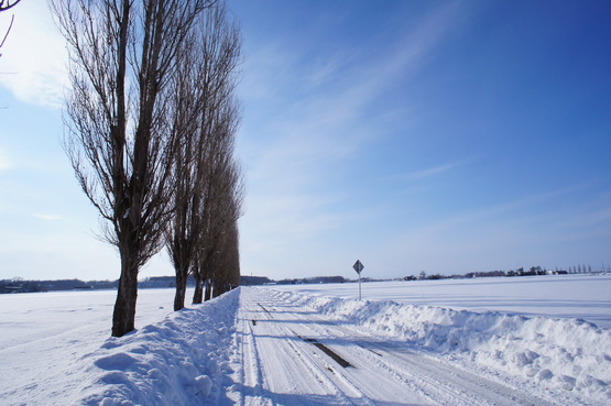 a0248508_1393671.jpg