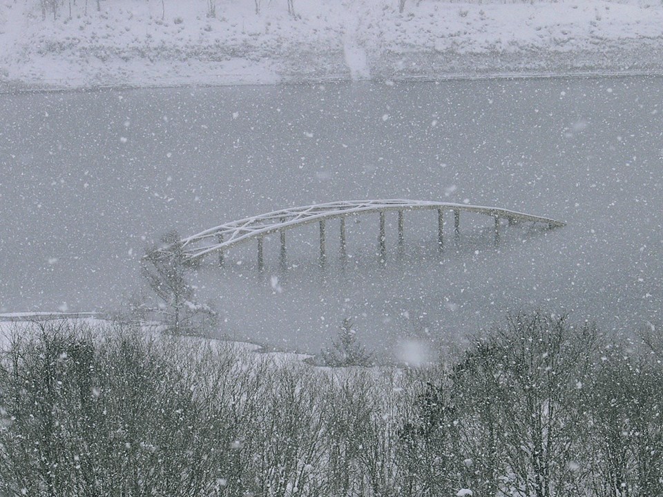 d0119909_19473464.jpg