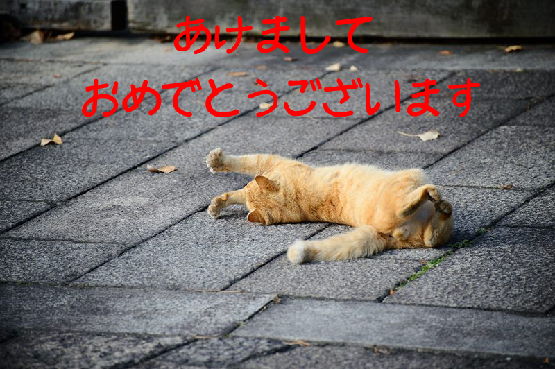 2015年 新年のご挨拶_f0032011_11131451.jpg