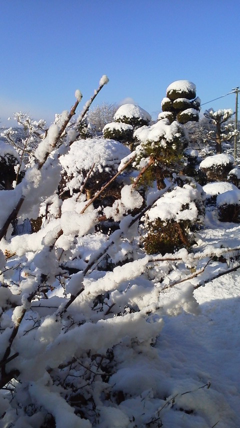 c0202812_1541411.jpg