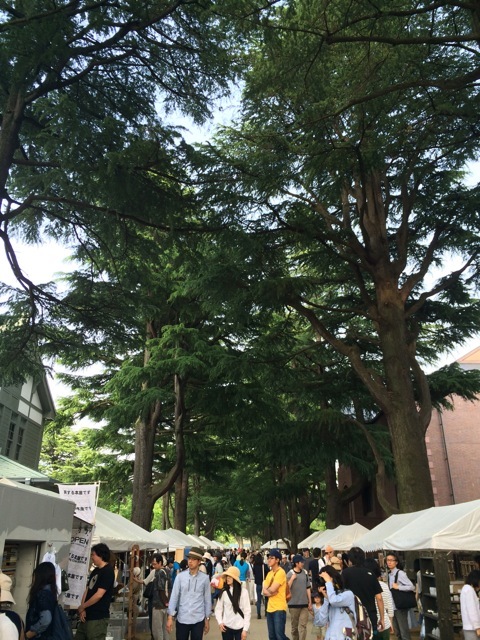 f0274713_11442039.jpeg