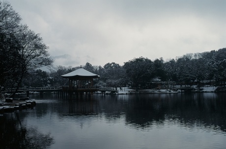 雪の興福寺と浮見堂_a0332314_17081790.jpg