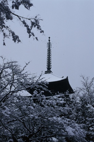 雪の興福寺と浮見堂_a0332314_17091465.jpg