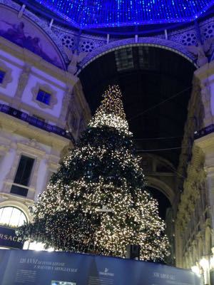 b0248221_018516.jpg