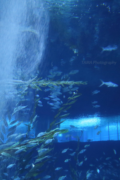 c0024729_11331149.jpg