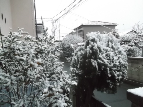 初雪で...モノトーンのお正月_b0137932_16575736.jpg